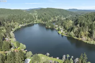 9904 Beach Dr, Birkenfeld, OR 97016 - Photo 3