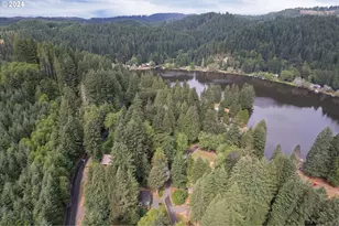 9904 Beach Dr, Birkenfeld, OR 97016 - Photo 3