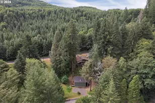 9904 Beach Dr, Birkenfeld, OR 97016 - Photo 5