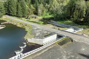 9904 Beach Dr, Birkenfeld, OR 97016 - Photo 45