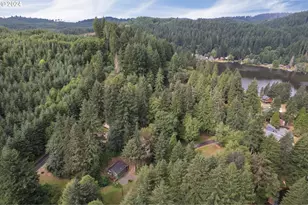 9904 Beach Dr, Birkenfeld, OR 97016 - Photo 33