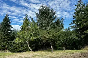 94515 Langlois Mountain Rd, Langlois, OR 97450 - Photo 5