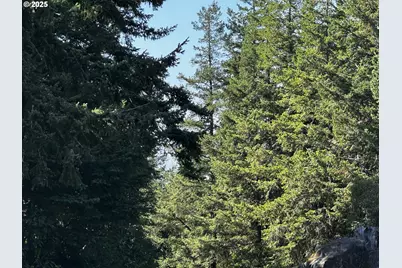 94515 Langlois Mountain Rd, Langlois, OR 97450 - Photo 5