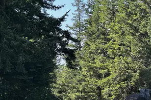 94515 Langlois Mountain Rd, Langlois, OR 97450 - Photo 5