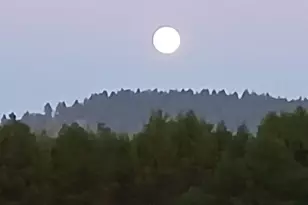 86449 Croft Lake Ln, Bandon, OR 97411 - Photo 27