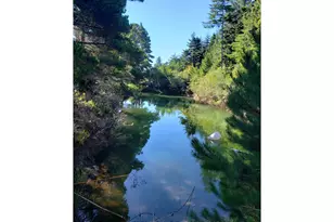 86449 Croft Lake Ln, Bandon, OR 97411 - Photo 21