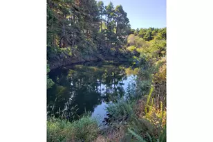 86449 Croft Lake Ln, Bandon, OR 97411 - Photo 25
