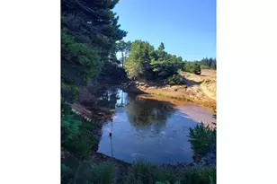 86449 Croft Lake Ln, Bandon, OR 97411 - Photo 25