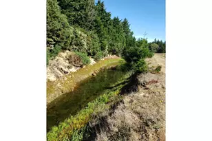 86449 Croft Lake Ln, Bandon, OR 97411 - Photo 23