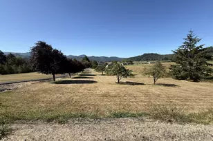 95570 N Bank Rogue River Rd, Gold Beach, OR 97444 - Photo 3