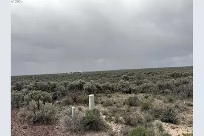 Fossil Lake Road #100, Christmas Valley, OR 97641 - Photo 3
