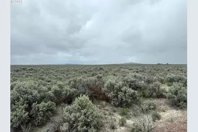Fossil Lake Road #100, Christmas Valley, OR 97641 - Photo 7