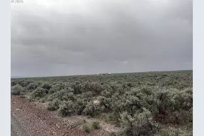 Fossil Lake Road #100, Christmas Valley, OR 97641 - Photo 5
