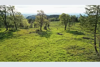 Lot 1, Harrisburg, OR 97446 - Photo 3