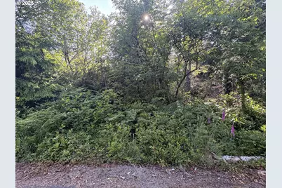 285 Xx Z St, Ocean Park, WA 98640 - Photo 1