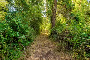 28285 Spencer Creek Rd, Eugene, OR 97405 - Photo 15