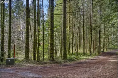 121 Pacific Rd, Stevenson, WA 98648 - Photo 37