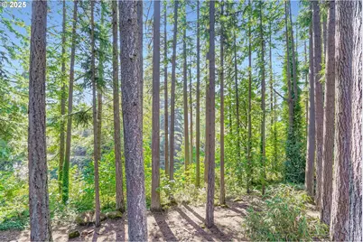 14546 S Kelmsley Dr, Oregon City, OR 97045 - Photo 45