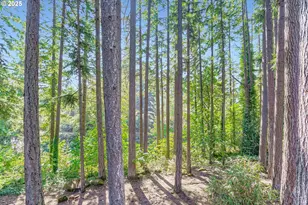 14546 S Kelmsley Dr, Oregon City, OR 97045 - Photo 45