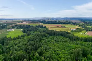 8379 Champoeg Rd, Saint Paul, OR 97137 - Photo 13