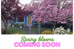 12655 SE 26th Ave, Milwaukie, OR 97222 - Photo 31