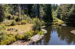 88600 Trout Pond Ln, Bandon, OR 97411 - Photo 3