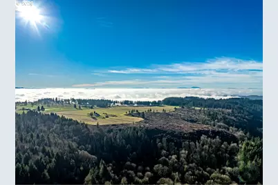 42172 Rodgers Mountain Loop, Scio, OR 97374 - Photo 15