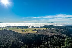 42172 Rodgers Mountain Loop, Scio, OR 97374 - Photo 15