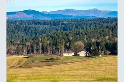 42172 Rodgers Mountain Loop, Scio, OR 97374 - Photo 47