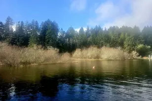 3117 S Tenmile, Lakeside, OR 97449 - Photo 11