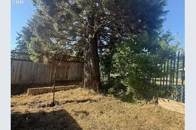 373 Hayhurst Rd, Yoncalla, OR 97499 - Photo 29