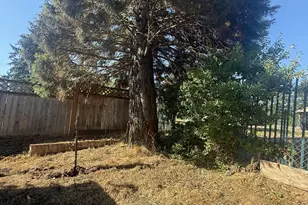 373 Hayhurst Rd, Yoncalla, OR 97499 - Photo 29