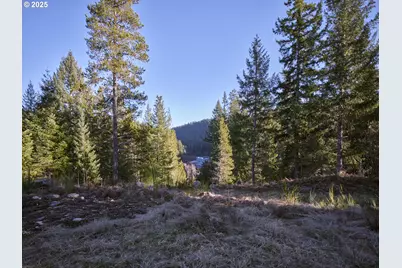 192 Sasquatch Way, Cougar, WA 98616 - Photo 41