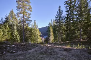 192 Sasquatch Wy, Cougar, WA 98616 - Photo 41