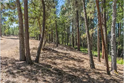 Nka Wilderness Loop Rd, Goldendale, WA 98620 - Photo 21