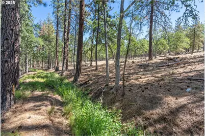 Nka Wilderness Loop Rd, Goldendale, WA 98620 - Photo 15