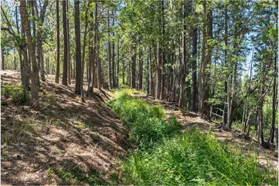 Nka Wilderness Loop Rd, Goldendale, WA 98620 - Photo 29