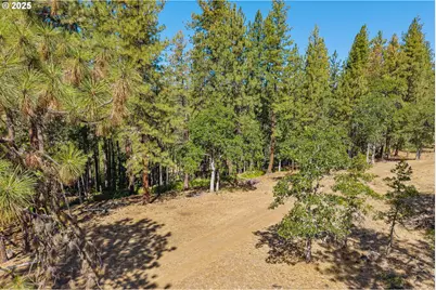 Nka Wilderness Loop Rd, Goldendale, WA 98620 - Photo 9