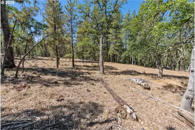 Nka Wilderness Loop Rd, Goldendale, WA 98620 - Photo 19