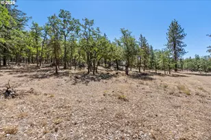 Nka Wilderness Loop Rd, Goldendale, WA 98620 - Photo 1