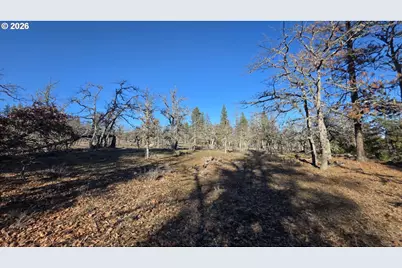 Lot 119, Goldendale, WA 98620 - Photo 15