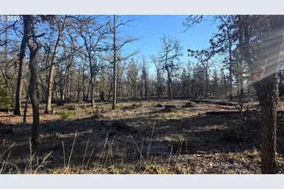 Lot 119, Goldendale, WA 98620 - Photo 7