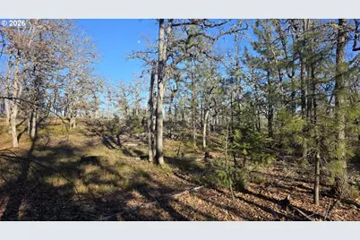 Juniper #Lot 119, Goldendale, WA 98620 - Photo 11