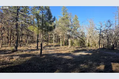 Lot 119, Goldendale, WA 98620 - Photo 11