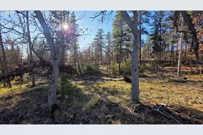 Lot 119, Goldendale, WA 98620 - Photo 3