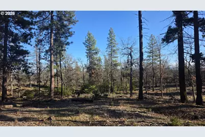 Juniper #Lot 119, Goldendale, WA 98620 - Photo 3
