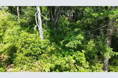 88972 Sutton Lake Road, Florence, OR 97439 - Photo 17