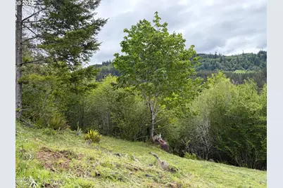 301 Upper Nestucca River Rd, Beaver, OR 97108 - Photo 11