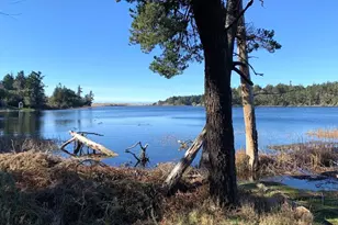 850 Lakeshore Dr, Port Orford, OR 97465 - Photo 43