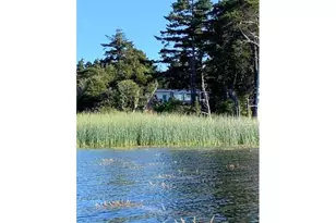 850 Lakeshore Dr, Port Orford, OR 97465 - Photo 29